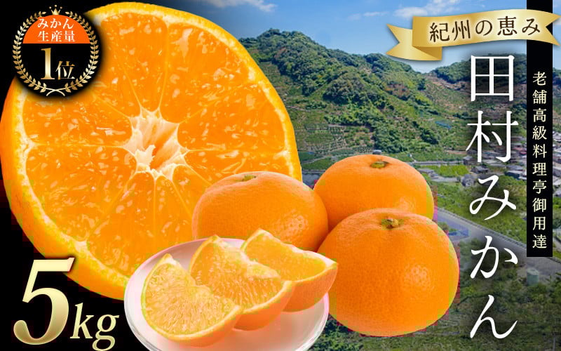 
                  【先行予約】高級ブランド 田村みかん 5kg  ※2026年11月下旬頃〜2027年1月下旬頃に順次発送予定(お届け日指定不可) / みかん 有田みかん ブランドみかん 柑橘 14000円 果物 フルーツ 旬 【先行予約】【uot504A】
                