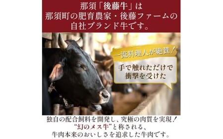 那須の後藤牛切り落とし400g×2パック(計800g)〔P-323〕 牛肉 国産 冷凍 那須町