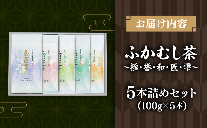 ふかむし茶 5本詰め セット 計500g / お茶 日本茶 深蒸し茶 受賞 濃厚 自社農園 熊本県 菊陽【有限会社 お茶の福本園】 [BHAI010]