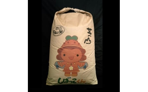 令和7年産　千葉県芝山町産　コシヒカリ　玄米30kg　色選処理済【1377459】