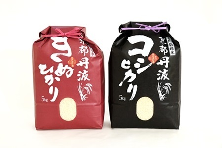【6回定期便】 京丹波こしひかり きぬひかり 食べ比べセット 10kg×6カ月連続 合計60kg 令和8年産 [090MB004R]