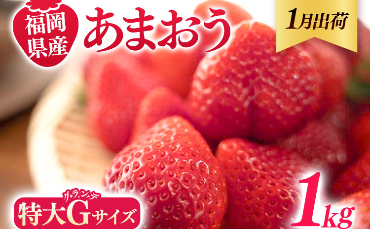 
福岡県産 あまおう 1000g （250g×4パック） いちご 1月中発送 いちご 苺 フルーツ 果物 くだもの 大粒Gサイズ グランデ 農家直送 大粒 不揃い 福岡県 福岡 九州 グルメ お取り寄せ
