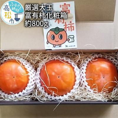 ふるさと納税 高松市 【限定企画5000セット】大玉　富有柿化粧箱　約800g