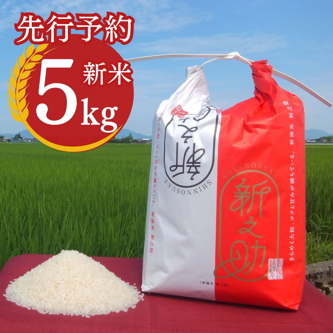 【ふるさと納税】 先行予約 新之助 5kg 新潟県産 [2027年1月中旬から順次発送予定] 令和8年産 2026年産 新之助（しんのすけ）令和8年度 [小林農園] 【010P079】