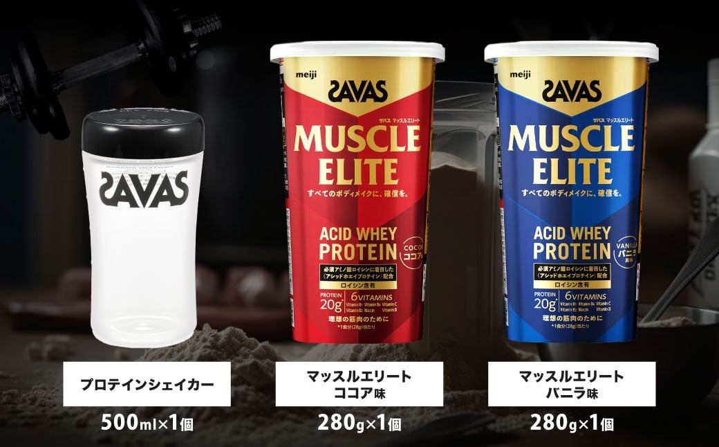 【2ヶ月毎に6回お届け】ザバス ビギナーライトセット
