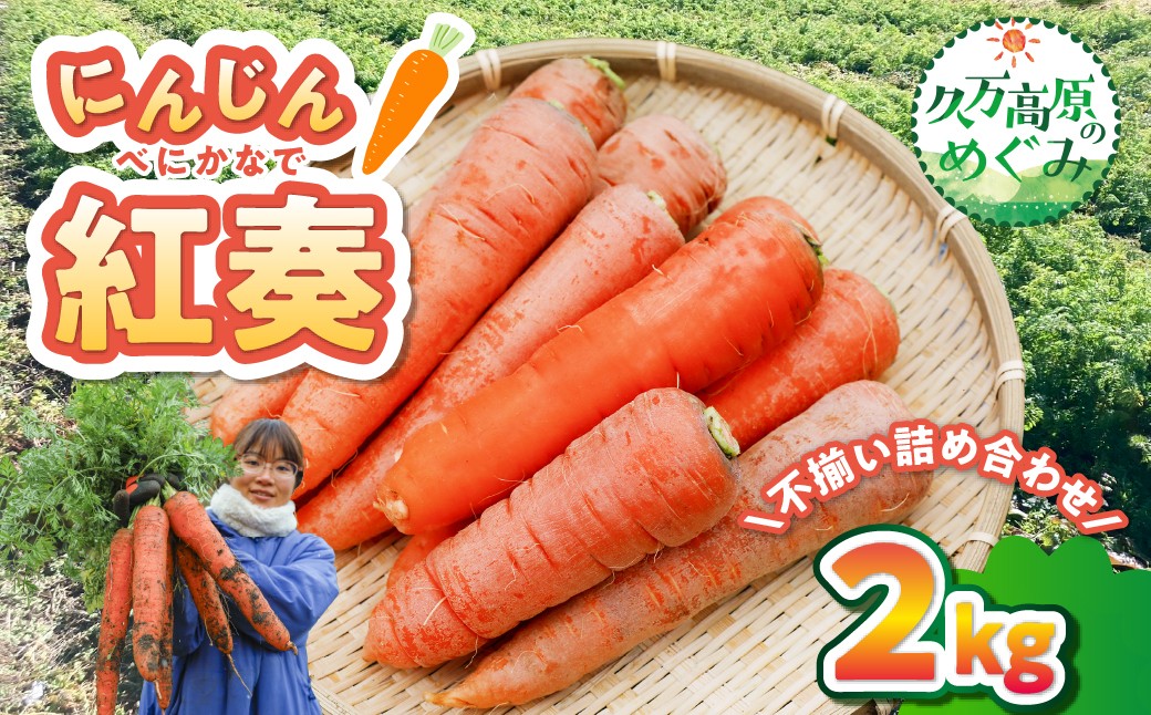 
                  【先行予約】にんじん（紅奏）2kg サイズ不揃い｜ 人参 ニンジン ニンジンジュース  高原野菜 久万高原町 ※離島への配送不可 ※2026年12月上旬～2027年2月上旬頃に順次発送予定
                