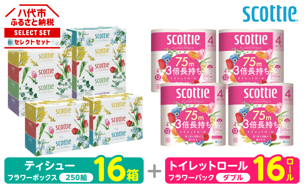 【スコッティ】 組み合わせ ティシュー フラワーボックス 250組 16箱 トイレットロール ダブル フラワーパック 3倍長持ち 16ロール ティッシュ トイレットペーパー 日用品 防災備蓄 ストック 備蓄 新生活 防災 消耗品 生活用品 日用消耗品 箱ティッシュ