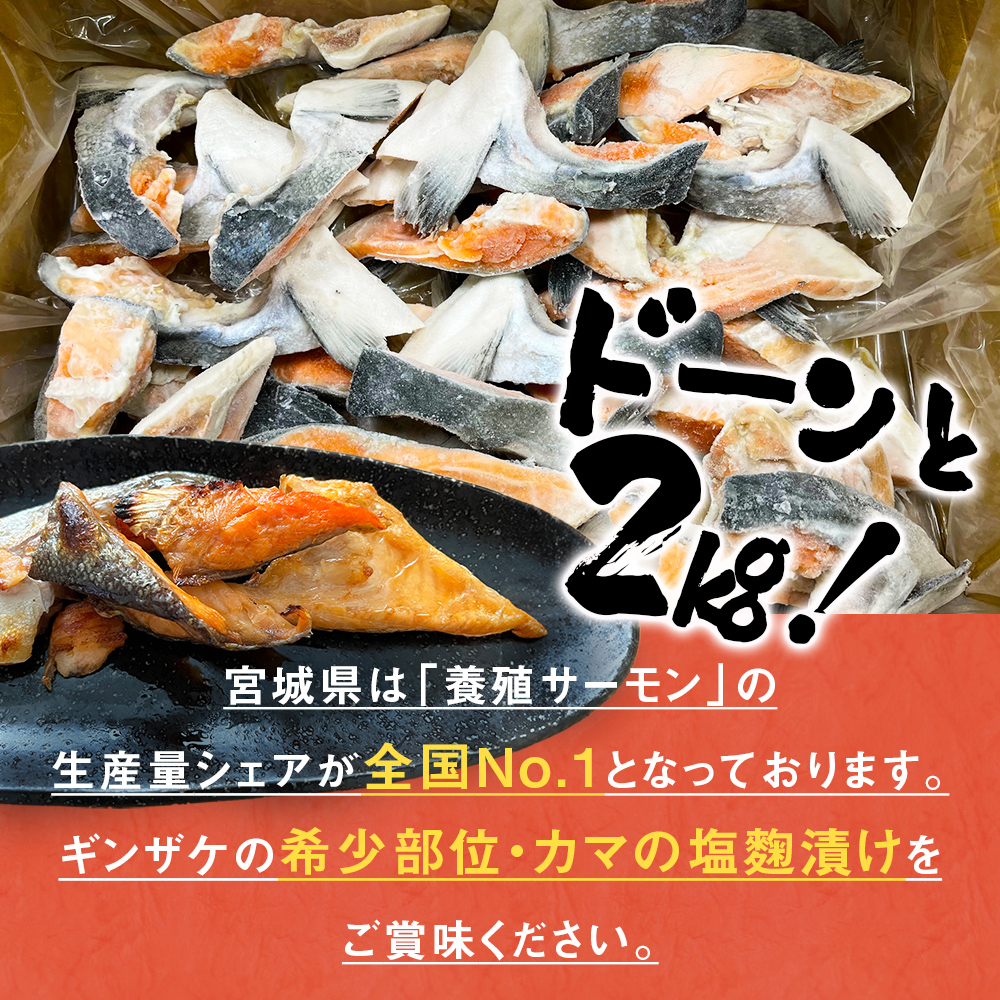 【数量限定】訳あり ギンザケ カマ 塩麹漬け 石巻産 2kg 銀鮭 鮭カマ さけカマ ギンザケカマ 銀鮭カマ 塩麹漬けカマ 鮭 漬魚 サーモン 鮭 焼き魚 魚 焼魚 鮭 鮭 鮭 鮭 鮭 鮭 鮭 鮭 鮭