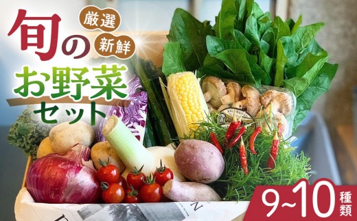 
                  野菜セット 旬の野菜 （9~10種類) やさい 詰合せ 新鮮 季節の野菜
                