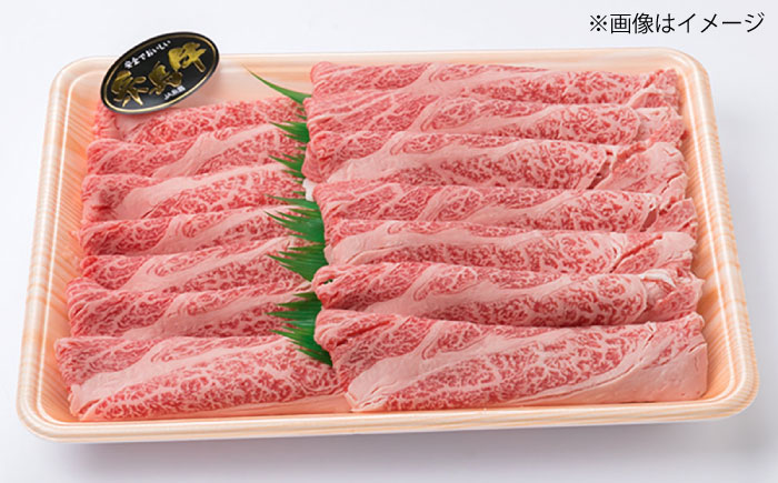 【全6回 定期便 】A4 ランク 博多 和牛 シャトーブリアン 180g×2枚 & A4 ランク 糸島 黒毛 和牛 肩ロース 500g & モモ肉 500g 糸島市 / 糸島ミートデリ工房 [ACA1