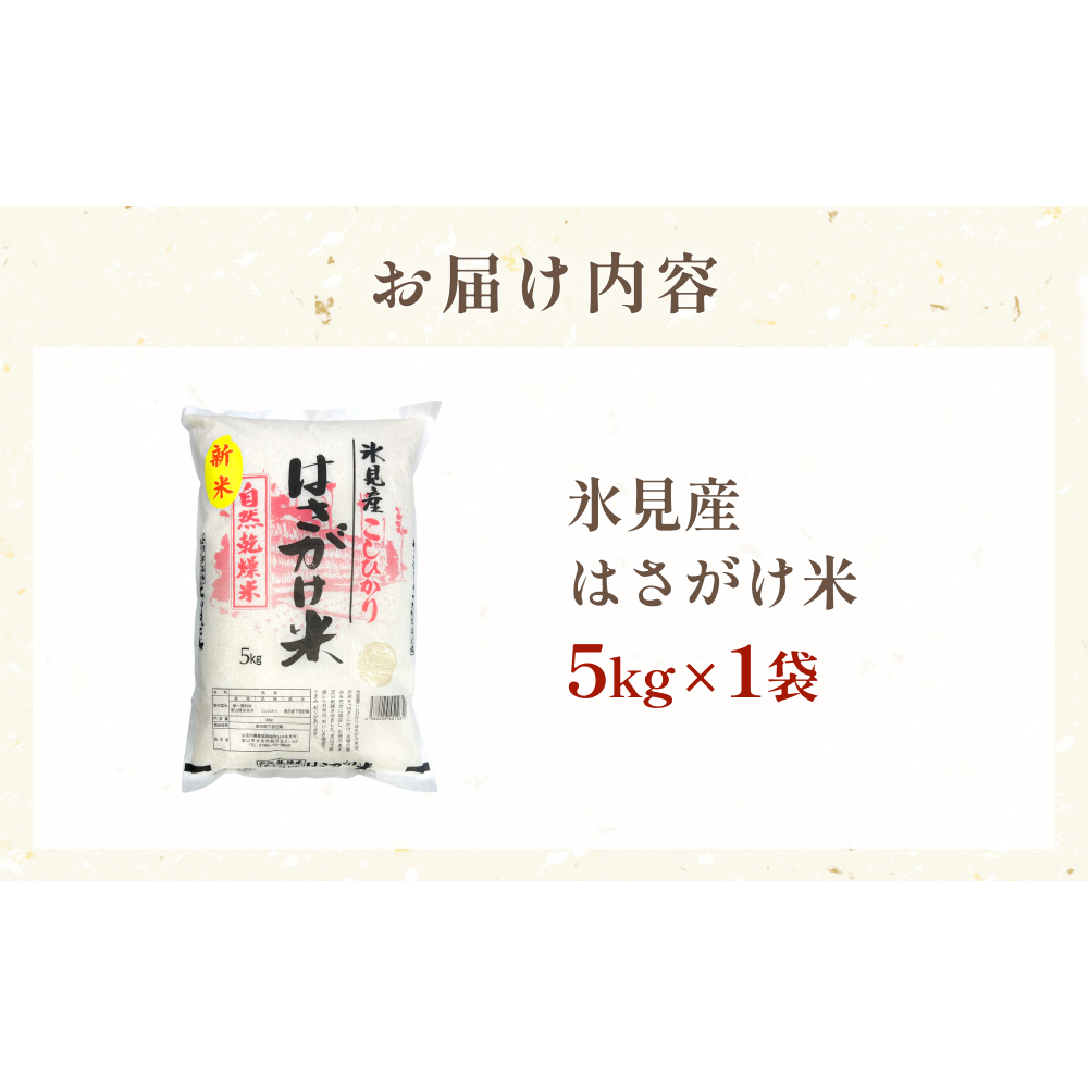 《数量限定》令和７年産 はさがけ米 精米5kg 富山県 氷見市 米 コシヒカリ こしひかり_イメージ3