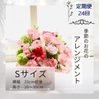 ふるさと納税 筑西市 【2週間毎定期便】季節のお花のアレンジメントSサイズ〜届いてそのまま飾れるフラワーアレンジ全24回