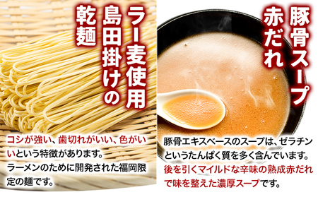 ラーメン らーめん 博多の赤だれ豚こつラーメン 2食入り 株式会社JSE《30日以内に出荷予定(土日祝除く)》福岡県   ラーメン らーめん 麺 豚骨ラーメン とんこつ 豚骨  ゆうパケット