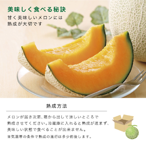 【2024年6月より順次発送】ふらの山部の絶品メロン『鳳凰』 2L（1.8～2kg）×2玉（坂口農産）メロン フルーツ 果物 新鮮 甘い 贈り物 ギフト 道産 ジューシー おやつ ふらの ブランド 夏