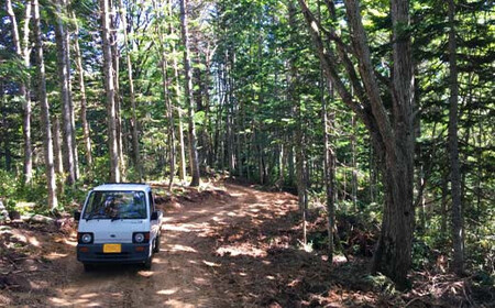 沼田町産 広葉樹ミックス薪 長さ約30cm 10kg キャンプ アウトドア用品 n-0090