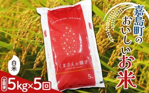 FK7-0268_【5カ月定期】【嘉島町産】くまさんの輝き 5kg 米 お米 コメ ごはん ご飯 食品 九州 熊本県 熊本 嘉島
