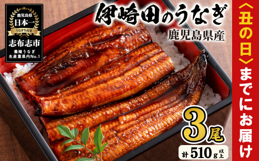 【丑の日までに配送】【数量限定】鹿児島県産 伊崎田のうなぎ蒲焼 大＜170g以上＞× 3尾(計510g以上) 鰻 うなぎ ウナギ 蒲焼き 3尾 国産 九州産 鹿児島県産 冷凍 おつまみ 鰻重 うな丼 b3-011-us