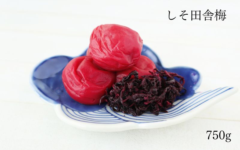 紀州南高梅　しそ田舎梅 塩分約20％【kishusogo001A】
