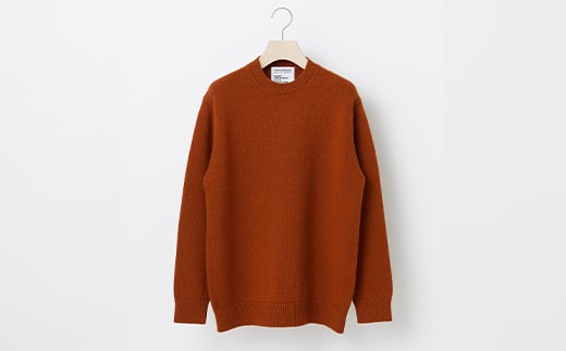 ≪先行予約≫【THISISASWEATER.】A1 : A SWEATER IS ORDINARY BROWN ブラウン カシミヤセーター 服 洋服 ユニセックス メンズ レディース ブランド 数量限定 山形県 山辺町 サイズ3 yt-soxxb3