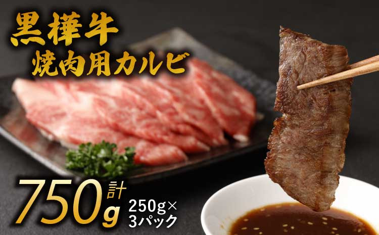 
            焼き肉 黒毛和牛 カルビ  計約750g(約250g×3パック)   レビューキャンペーン
          