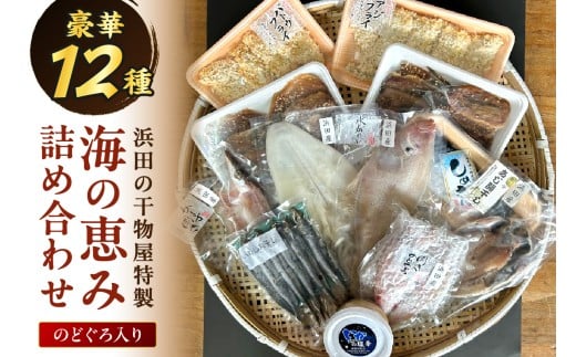 【豪華12種】浜田の干物屋特製・海の恵み詰め合わせセット（のどぐろ入り） 【025_0442】