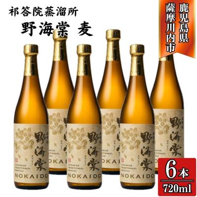 ふるさと納税 薩摩川内市 野海棠 麦焼酎 25度 720ml×6本 祁答院蒸溜所 CSR-718