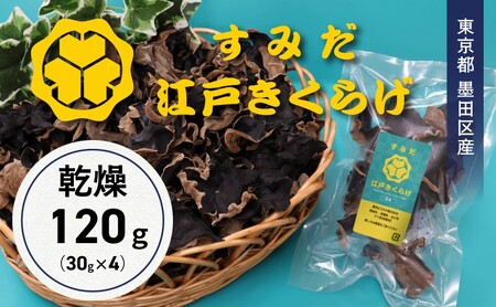 キクラゲ 乾燥120g 30g×4袋 純国産 野菜 キクラゲ