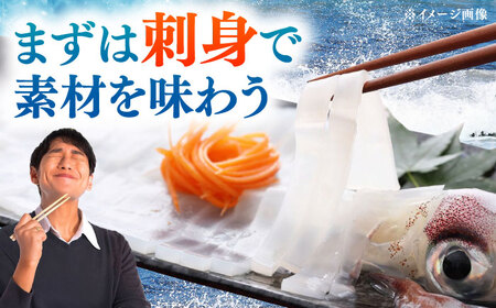 【特大】 剣先 イカ （ 生 冷凍 ）2枚 [WAB027] 剣先イカ冷凍いか