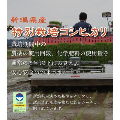 ふるさと納税 刈羽村 【新潟特別栽培米】【精米】刈羽村産コシヒカリ 10kg(5kg×2袋) |  | 01
