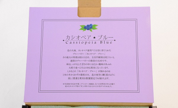 二戸産 プレミアム ブルーベリー【カシオペアブルー】30粒 フルーツ 果実