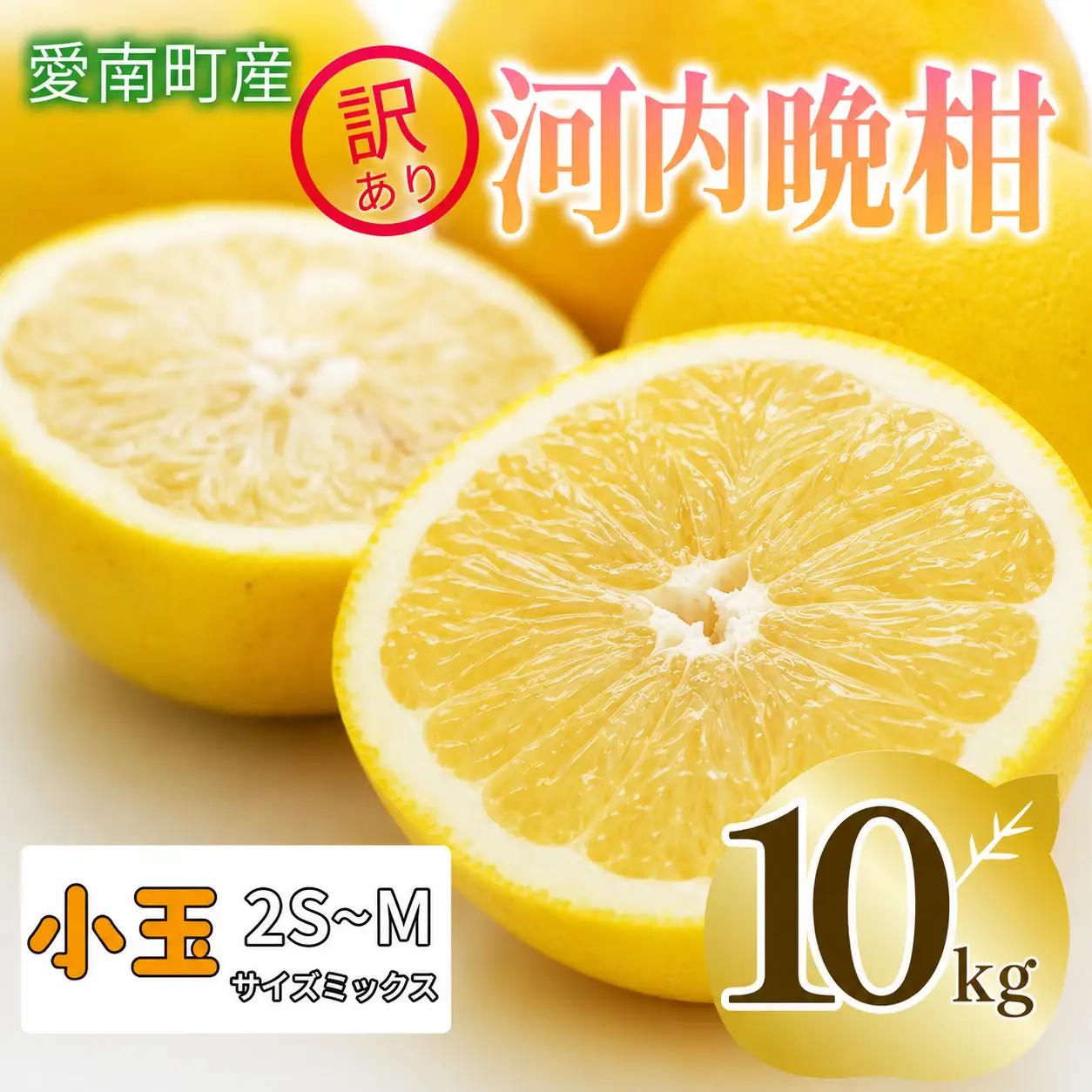  訳あり 河内晩柑 10kg 小玉 2S M サイズミックス 家庭用 愛媛県 愛南町 清家ばんかんビレッジ