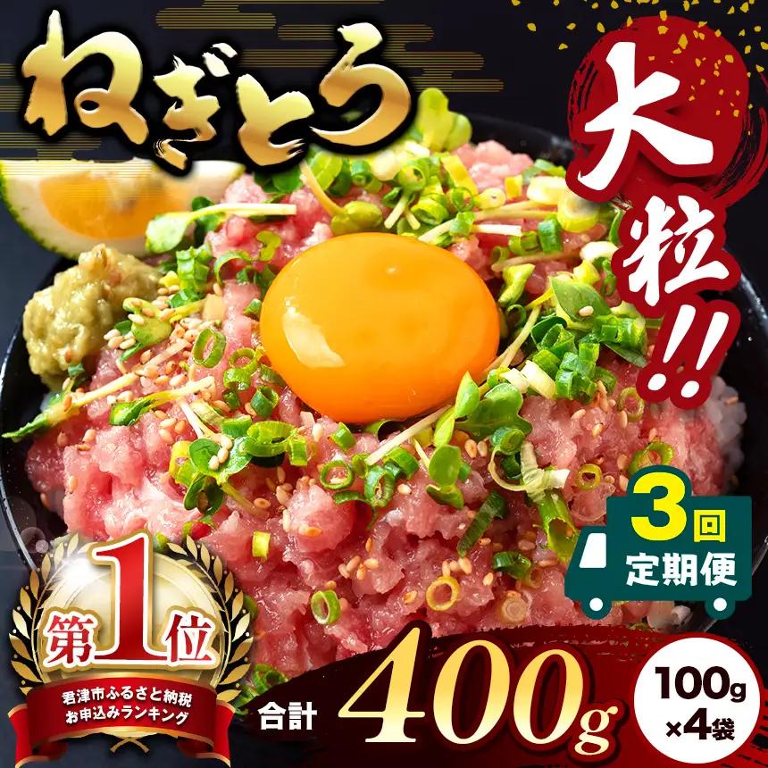 【定期便3回】ねぎとろ 400g（100g×4袋）  | 清幸丸水産 大人気 手巻き寿司 海鮮丼 マグロのユッケ まぐろ 海鮮 小分け 100g パック 千葉県 君津市