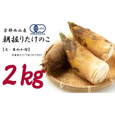 ふるさと納税 京都市 <先行受付>【皮付き京都西山産】 朝掘りたけのこ 2kg(米ぬか付)【アドプランツコーポレーション】
