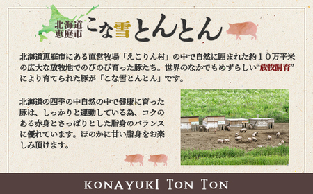 こな雪とんとん　えこりん村ポークカレー　200g×1箱【190018】