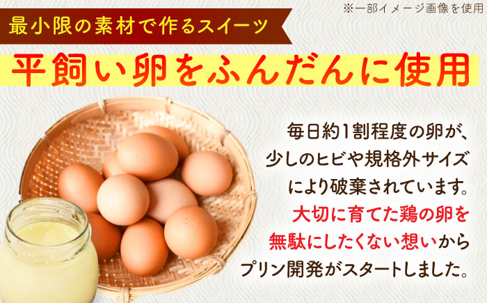 こだわりの平飼い卵を使用！牛乳を使わない優しいプリン 6個入（80g/個） / 平飼い卵 プリン デザート スイーツ / 佐賀県 / 素ヱコ農園 [41AEAA014]