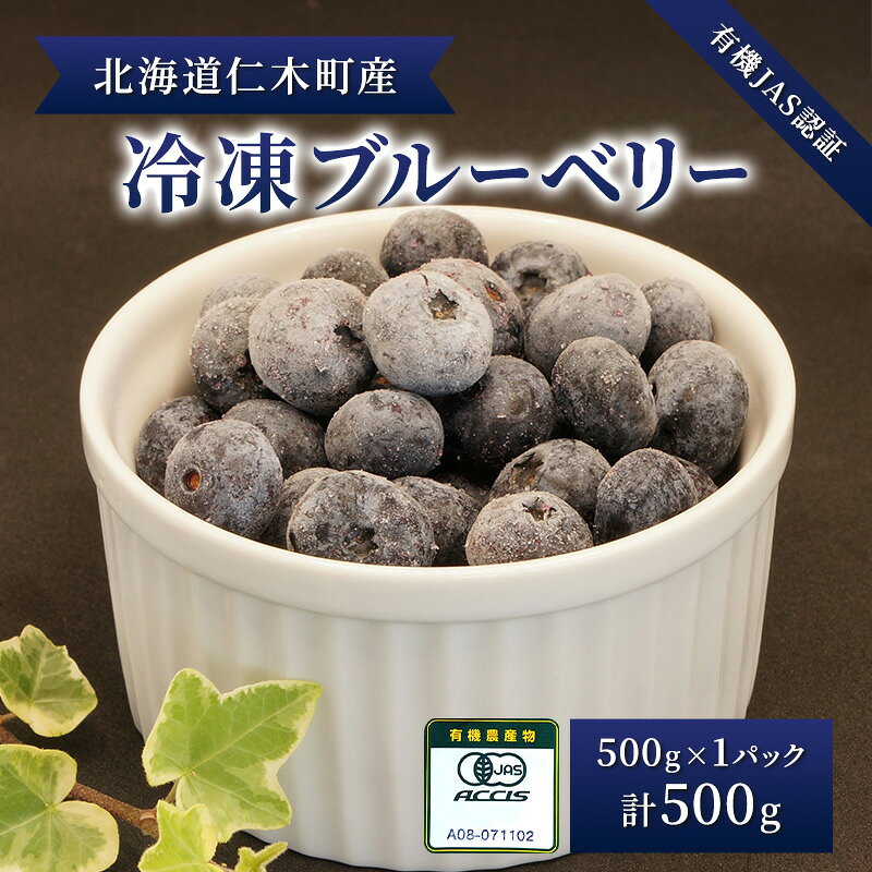 【ふるさと納税】先行受付 【有機JAS認証】北海道仁木町産オーガニック冷凍ブルーベリー 500g×1パック 計500g 果物 フルーツ 冷凍フルーツ 有機栽培 樹上完熟 手摘み トッピング [株式会社 自然農園]　お届け：出荷開始10月