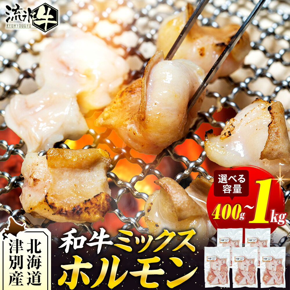 【ふるさと納税】流氷牛 ミックスホルモン 400g〜1kg(200g×2~5袋) 石井牧場 | ふるさと納税 ホルモン 牛ホルモン ミックスホルモン 和牛 流氷牛 焼肉 もつ焼き もつ鍋 小分け 国産 希少部位 味付けなし 大容量 北海道 津別町