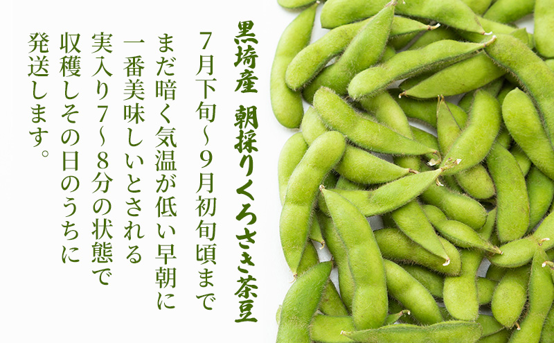 朝採り・新鮮・直送　くろさき茶豆1.5kg『7月下旬～順次発送』朝採りくろさき茶豆1.5kg