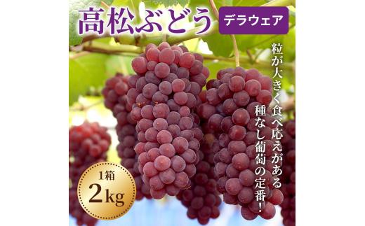 ＜2025年収穫分 先行予約＞ 高松ぶどう デラウェア 約2kg入り（およそ9～10房） 1箱 ｜ デラウエア デラウェア ぶどう ブドウ 葡萄 フルーツ 果物 果実 くだもの 人気 種なし 種無し グレープ 石川産 石川県産 かほく市産 夏