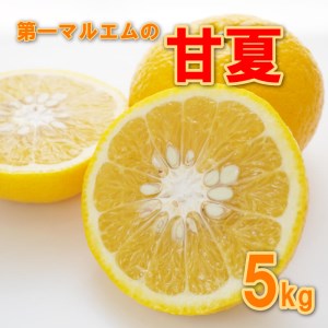 【先行予約】 甘夏 5kg 減農薬 柑橘 フルーツ 愛媛みかん ポンカン 文旦 河内晩柑 温州みかん ブラッド オレンジ ネーブル せとか なつみ 蜜柑 みかん 檸檬 果物 果実 ジューシー 数量限定 さっぱり 甘い 第一マルエム 愛媛県 愛南町