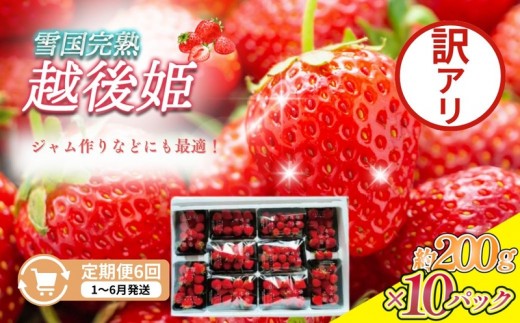 
                  先行予約  定期便 6回【1～6月発送】訳あり越後姫 約200g×10定期配送 越後姫 えちごひめ 苺 いちご 訳あり 新潟 苺の花ことば
                