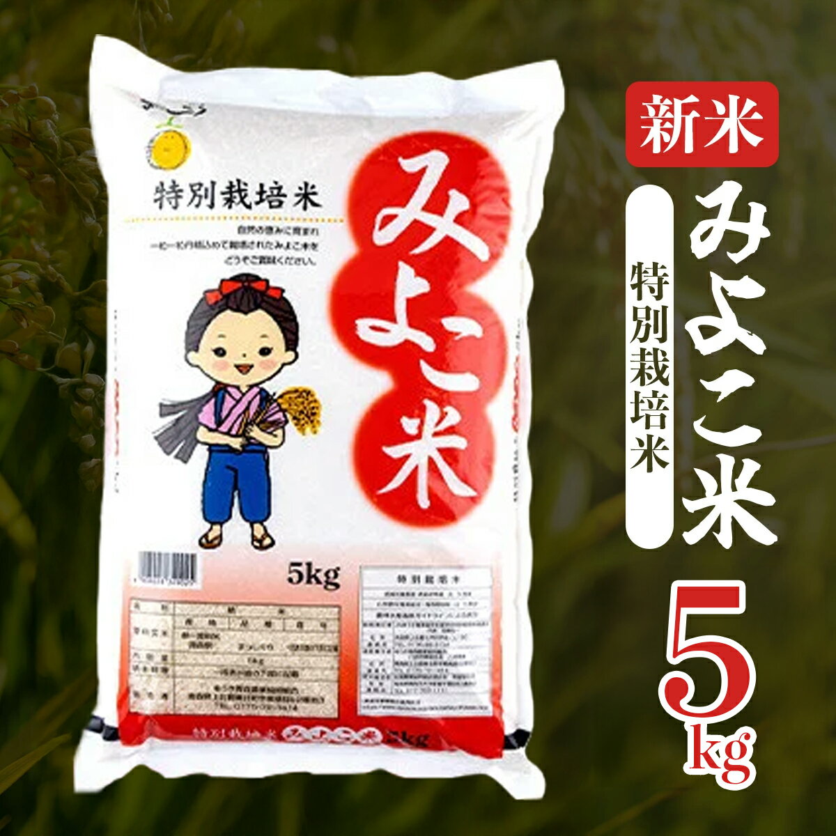 【ふるさと納税】【令和7年産】みよこ米（まっしぐら）5kg（5kg×1袋）【特別栽培米 ご飯 ごはん 新米 米 こめ お米 弁当 白米 精米 国産米 銘柄米 県産米 ブランド米 おにぎり 国産 青森県 七戸町】【02402-0350】