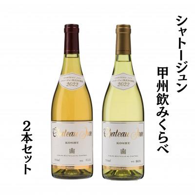ふるさと納税 甲州市 シャトージュン 甲州飲みくらべ2本
