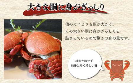 HRAGT-1【数量・期間限定】宮崎県串間産アサヒガニ特大サイズ約1kg（2～3匹）