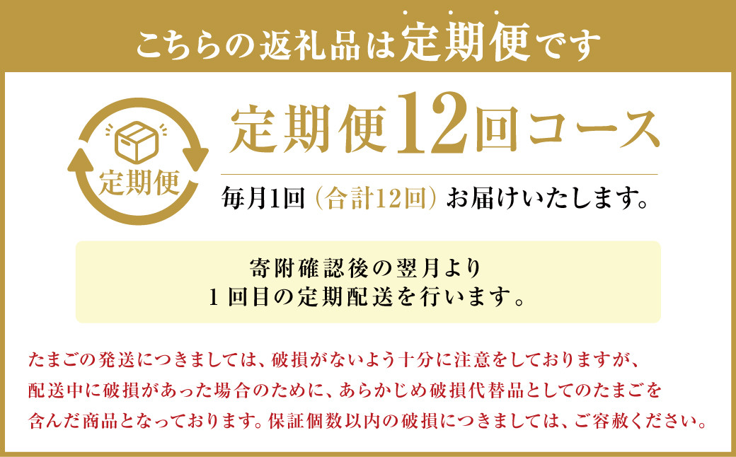 【定期便12回】球磨球子 80個×12回 合計960個 鶏卵 卵 玉子 たまご くまたまご