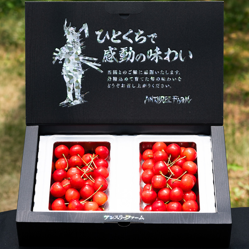  山形県産 さくらんぼ「佐藤錦」500g 特秀品 Lサイズ以上 【
