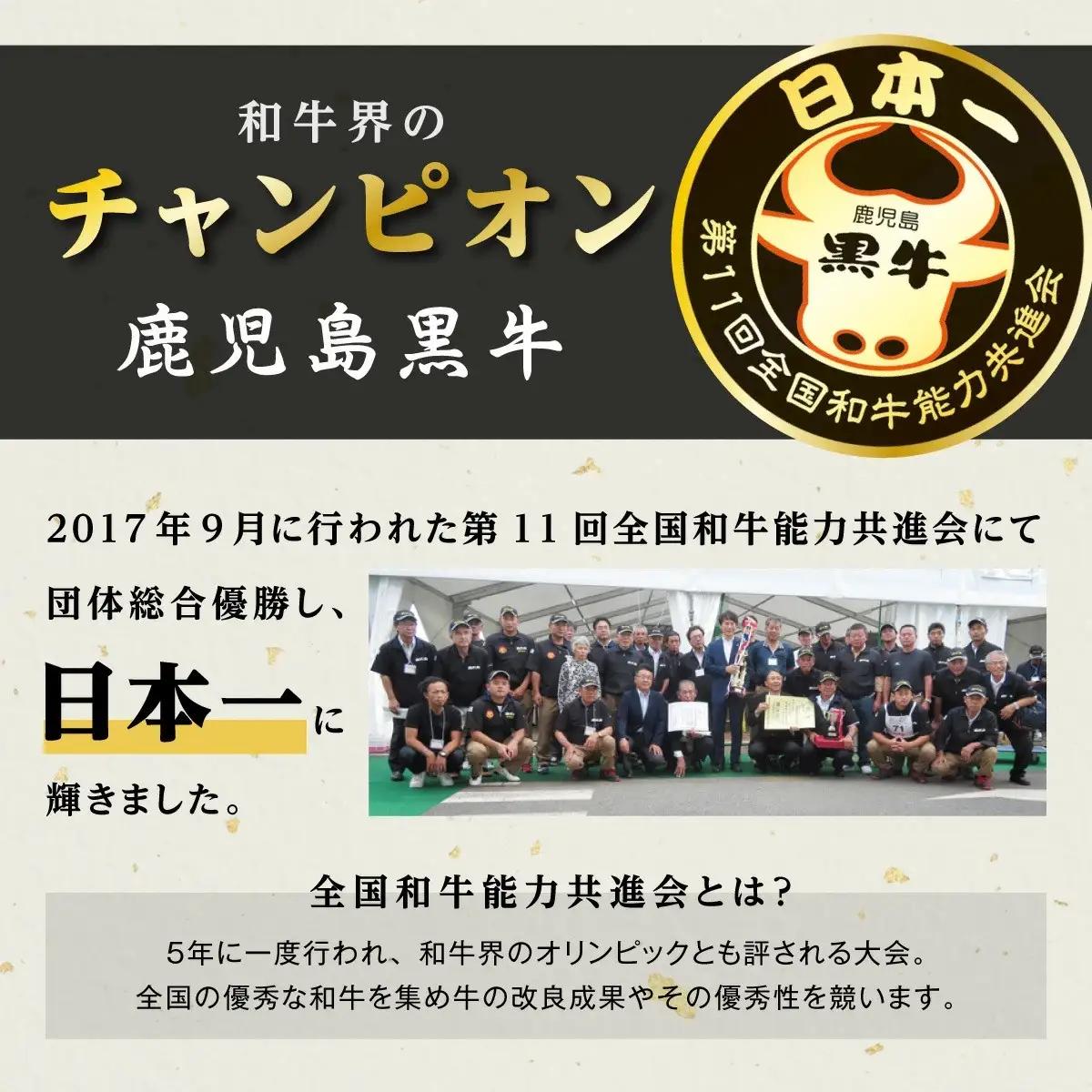 《前田牧場直営》 鹿児島黒牛 ～ランプ肉（モモ）ブロック（約500g）～ | 鹿児島黒牛