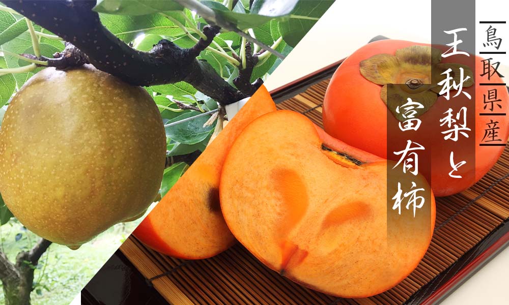 王秋梨と富有柿のセット 4kg