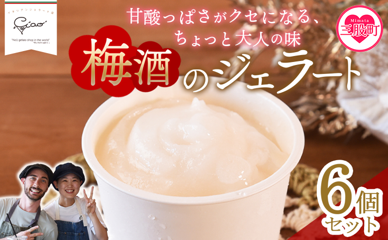 ＜梅酒のジェラート 6個セット＞ フレーバー お酒入り 3% 5% アルコール うめ スイーツ アイス ヘルシー おやつ 菓子 お菓子 洋菓子 デザート 氷菓 お楽しみ プレゼント ギフト 贈答用 酒 梅 大人の贅沢 シャーベット【MI616-ci】【Ciao Gelateria】