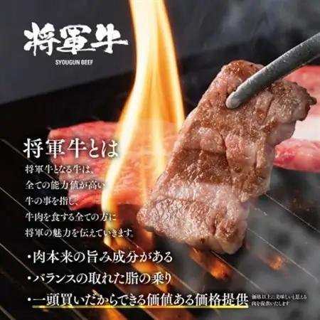 【将軍牛】特選焼肉セット ロース カルビ もも 3種類 1kg【配送不可地域：離島・北海道・沖縄県】【1652120】